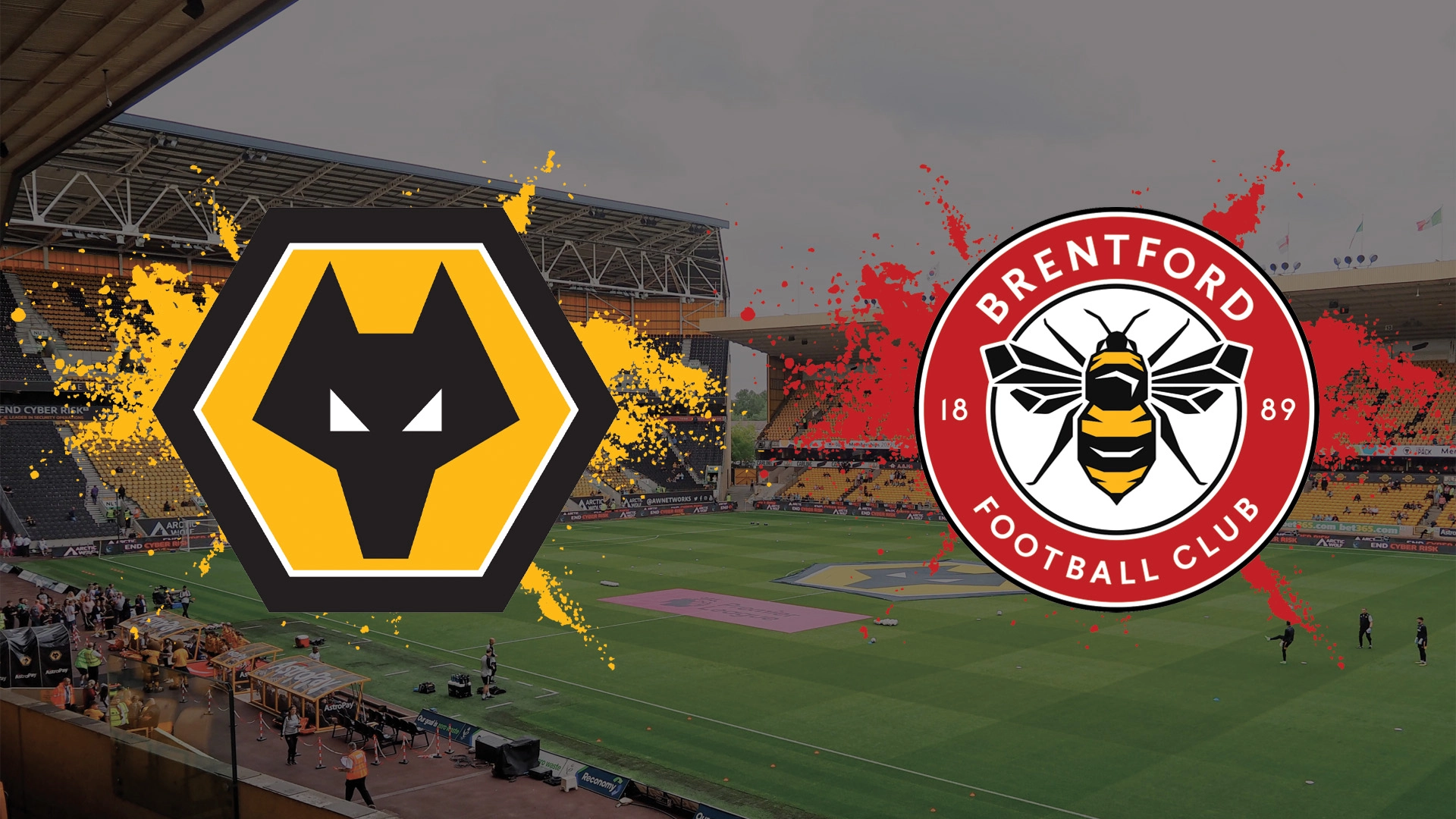 wolves vs brentford match